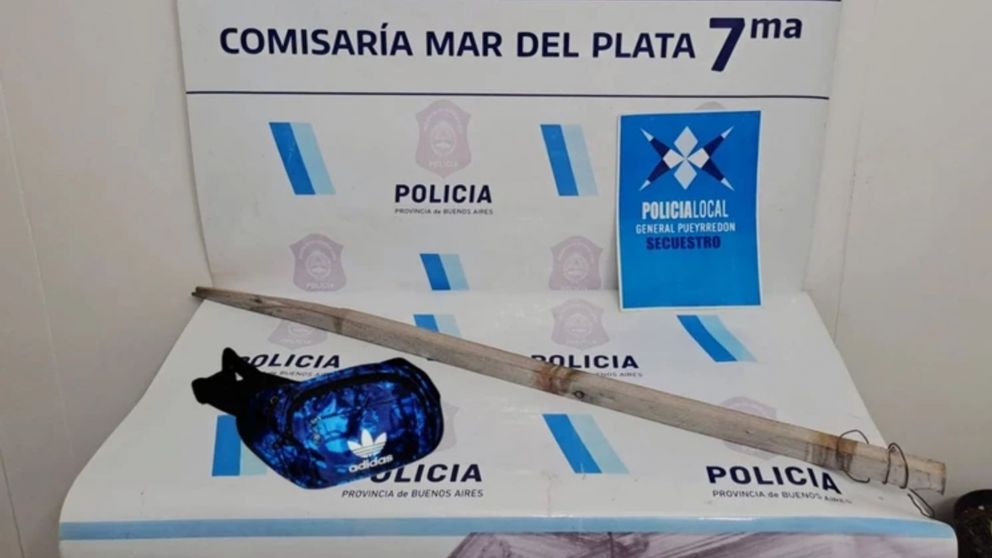 El palo con el que "pescó" la riñonera.