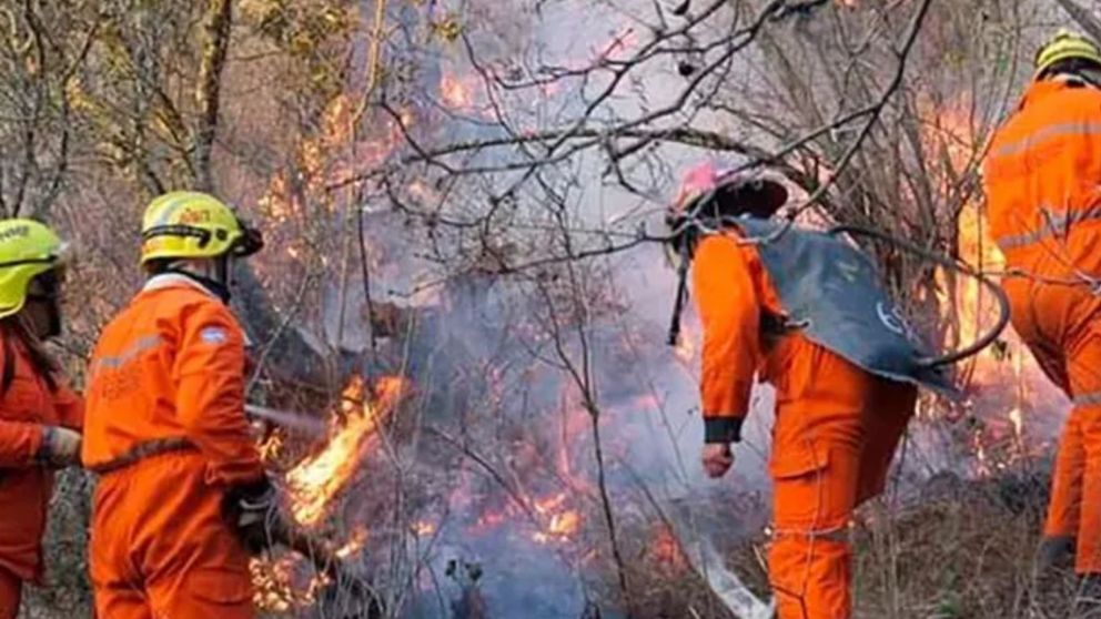 Los bomberos trabajando para controlar el incendio.