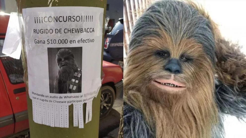 Concurso por 10 mil pesos: Pegaron un cartel pidiendo un rugido de Chewbacca y pusieron un número de teléfono al azar (Twitter/Cadena3_Rosario).
