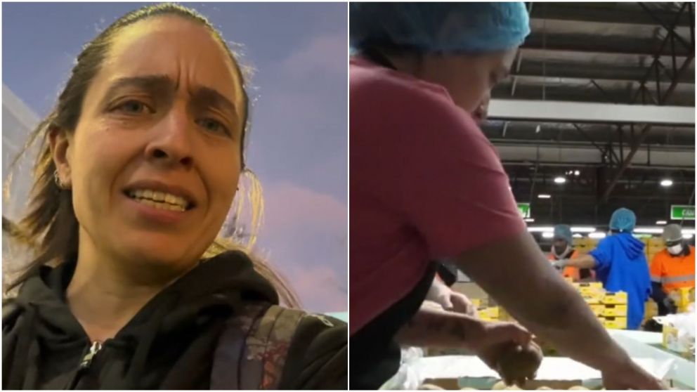 Es argentina, emigr� a Nueva Zelanda y cont� en TikTok cu�l fue su peor trabajo estando all�.
