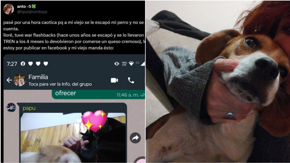 Su perro se escapó y terminó preso.