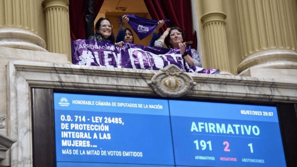 La Cámara de Diputados aprobó el proyecto que busca incorporar la figura de la violencia digital a la ley de Protección Integral de Las Mujeres (Imagen: prensa Mónica Macha).