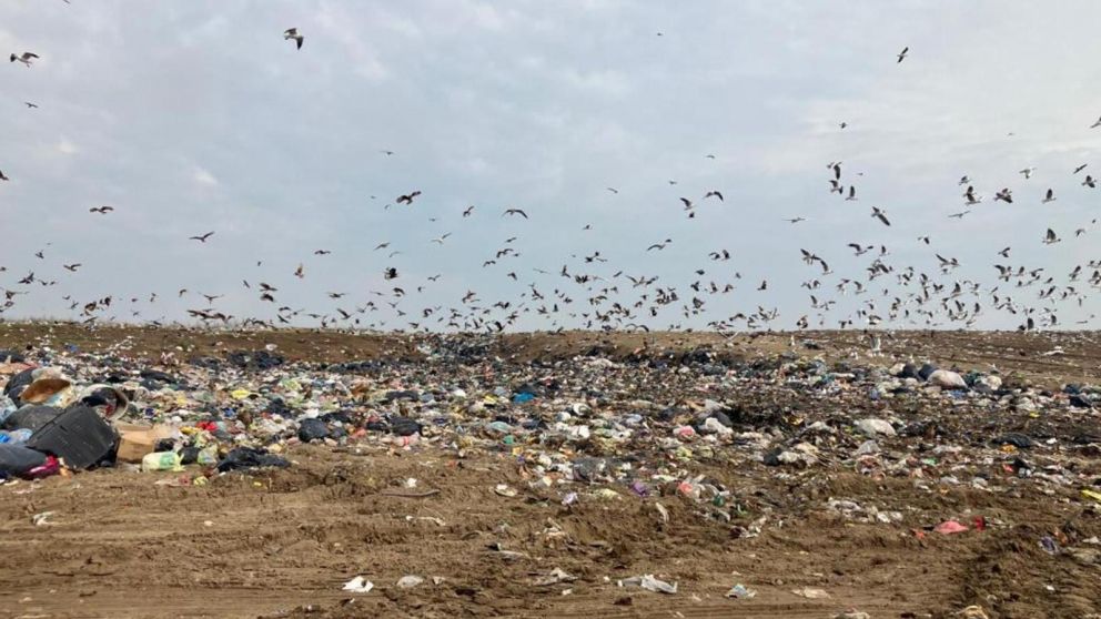 El basural a cielo abierto de la discordia.