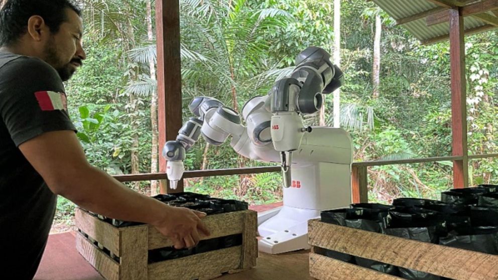 El robot reforestador trabaja en el Amazonas (Twitter).