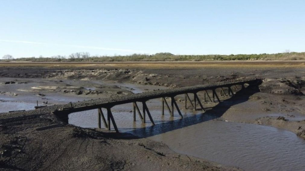 Uruguay est� en una situaci�n cr�tica por la falta de agua potable.