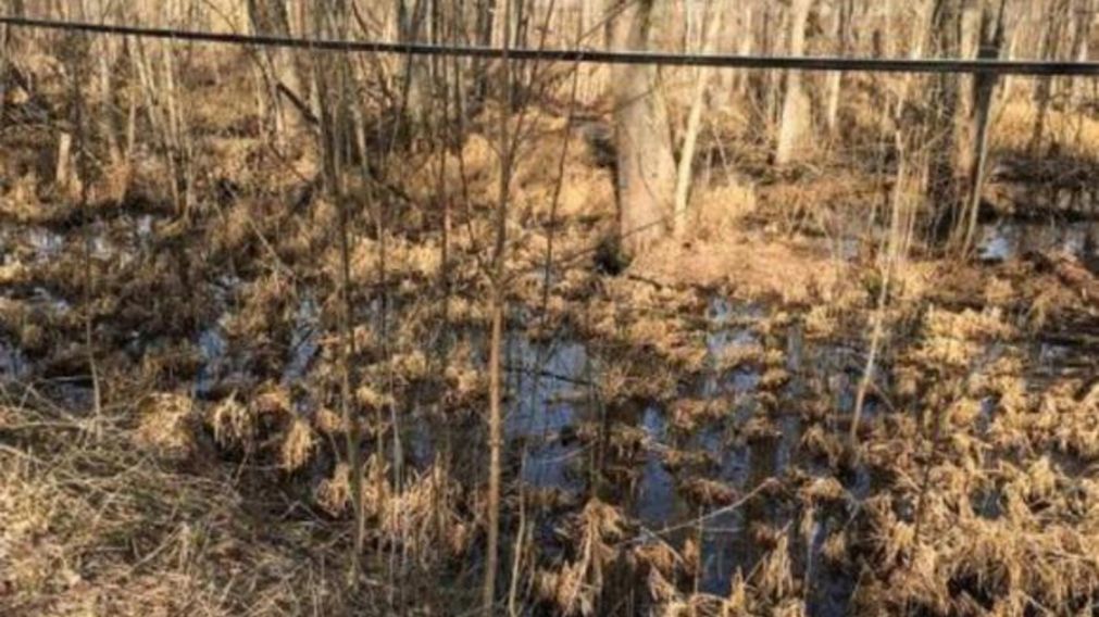 En este reto viral tendr� que hallar en menos de 10 segundos al patito que est� escondido en la foto.