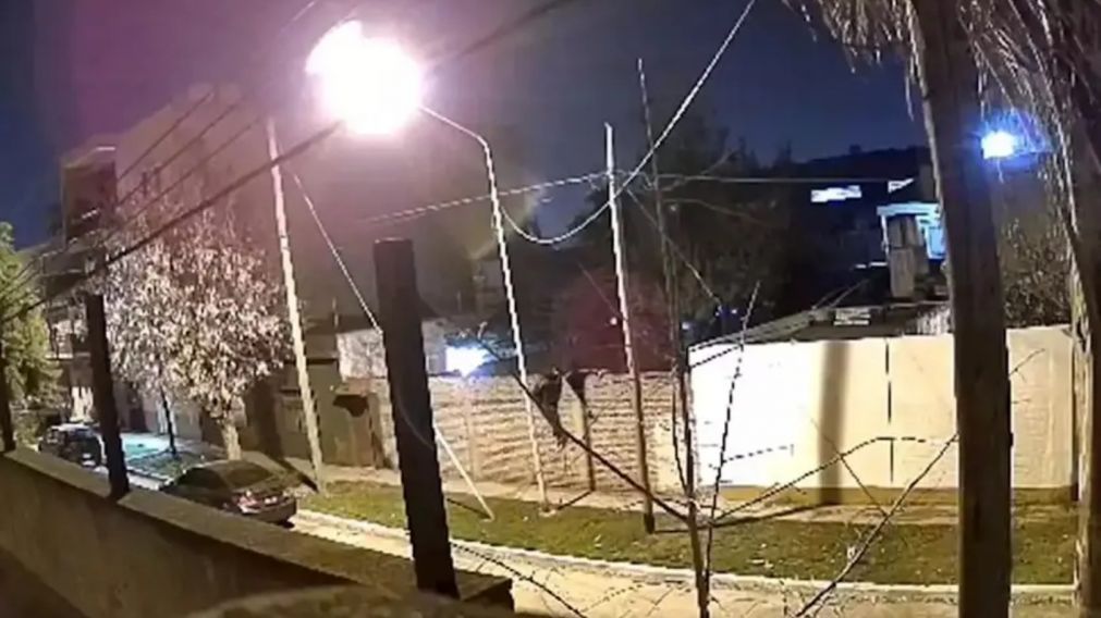 Así tres delincuentes saltaron un paredón para robarle a una pareja de jubilados (Imagen captura vídeo).