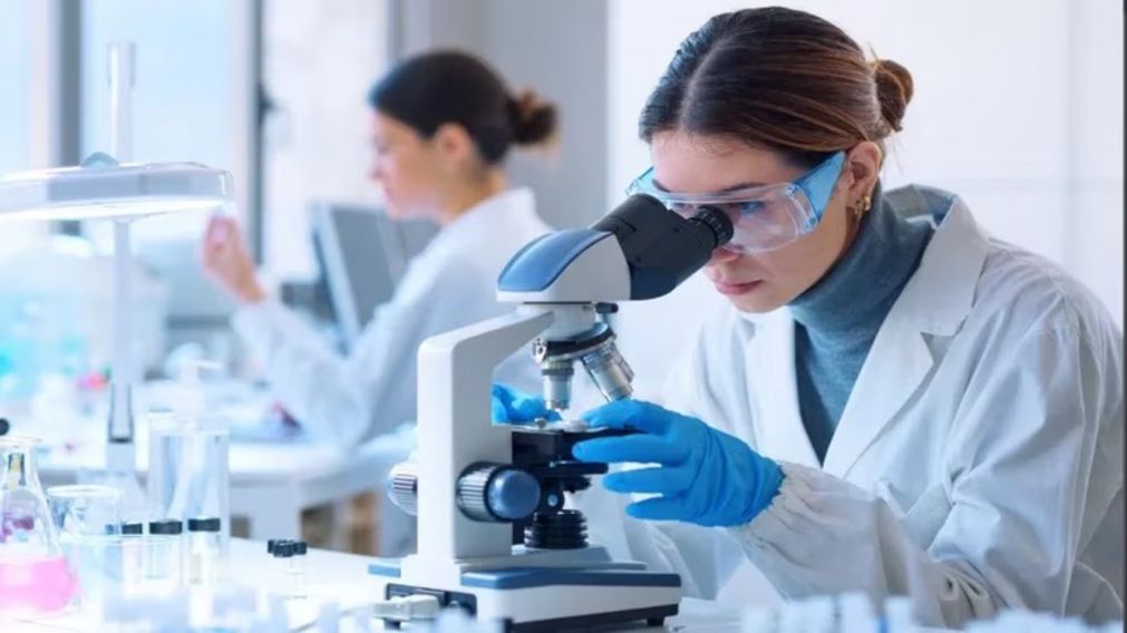 Un empleado de limpieza arruinó una valiosa investigación científica de 20 años al apagar un congelador (Imagen ilustrativa).