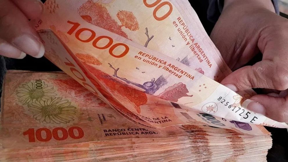 Enterate a quiénes les corresponde la suba.