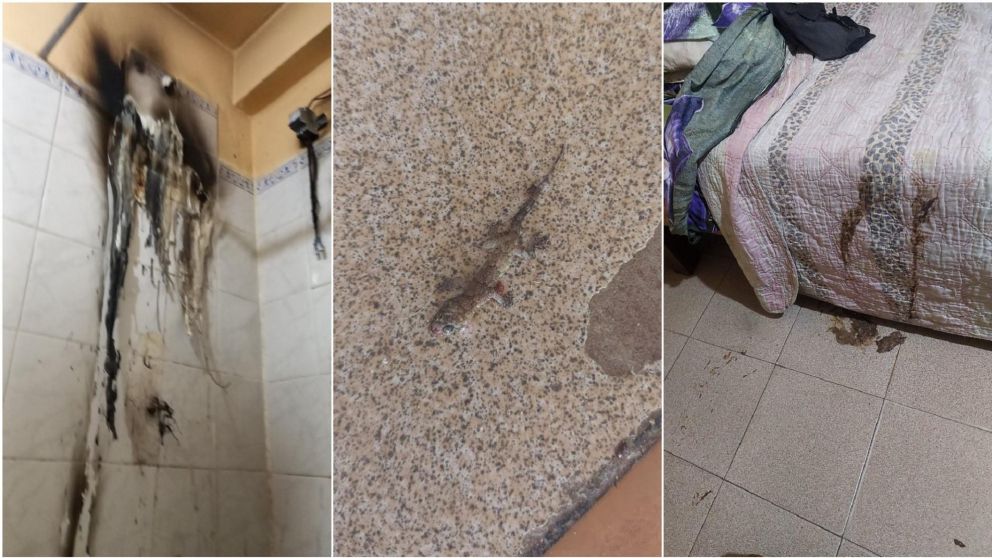 Le prestó el departamento y se lo devolvió en las peores condiciones.