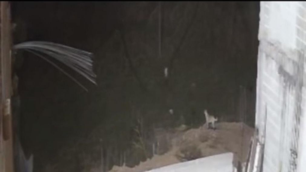 El hecho paranormal tuvo lugar en M�xico (Captura de video).