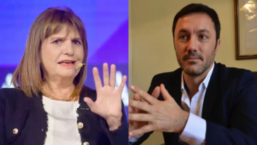 Patricia Bullrich eligi� a Luis Petri como candidato a vicepresidente