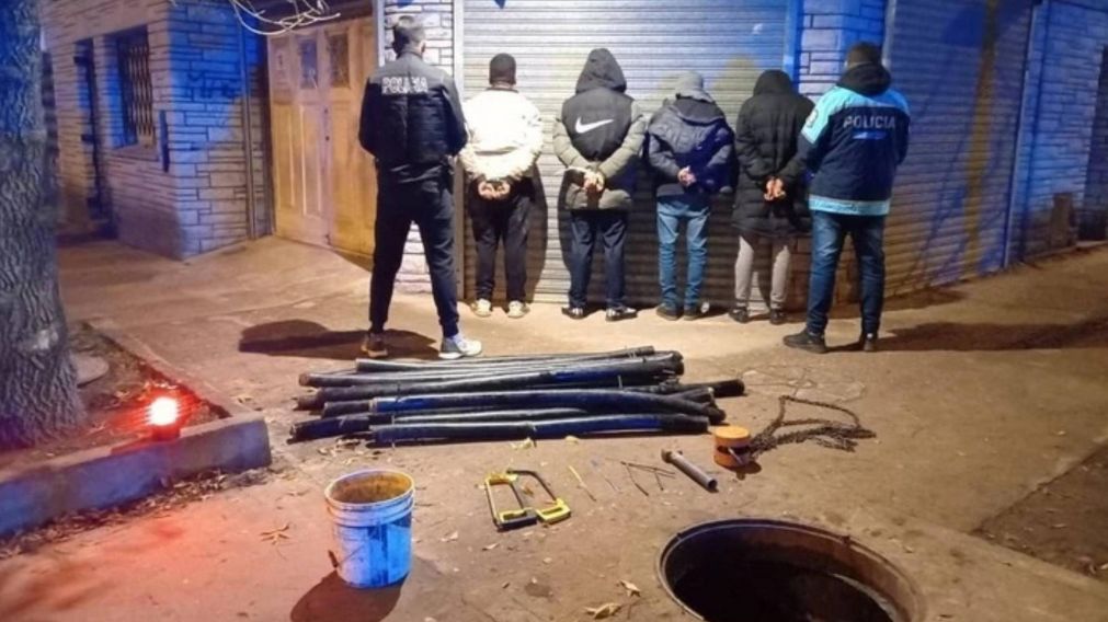 �A lo tortuga ninja! Salieron de la alcantarilla tras robar cables de cobre y as� fueron detenidos.