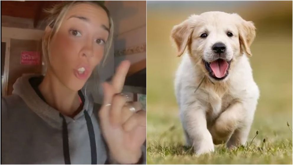 Se fue de vacaciones, le dej� la perra a una amiga y todo termin� en desastre: �La tuve que echar�