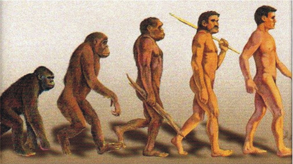 La evolución del hombre, hace millones de años, no remarca en qué momento de su etapa evolutiva comenzó a desarrollar el pensamiento. Abajo, la teoría de la panspermia, aún no probada, sobre que la vida llegó desde el espacio. Y las dudas persisten.