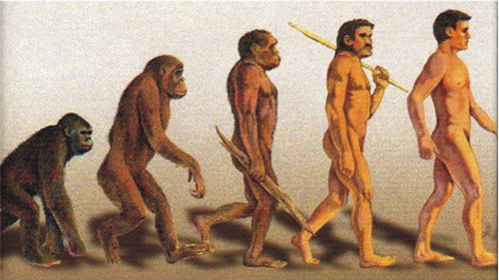 La evolución del hombre, hace millones de años, no remarca en qué momento de su etapa evolutiva comenzó a desarrollar el pensamiento. Abajo, la teoría de la panspermia, aún no probada, sobre que la vida llegó desde el espacio. Y las dudas persisten.