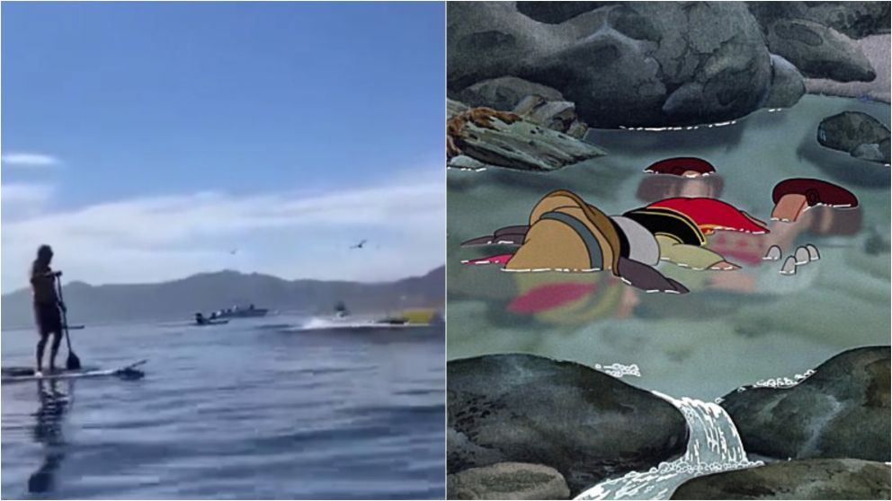 Como a "Pinocho": ballena jorobada se tragó a dos turistas y el video estremece las redes
