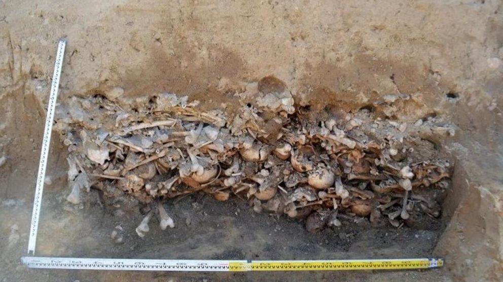 El escalofriante descubrimiento tuvo lugar en Polonia (New York Post).