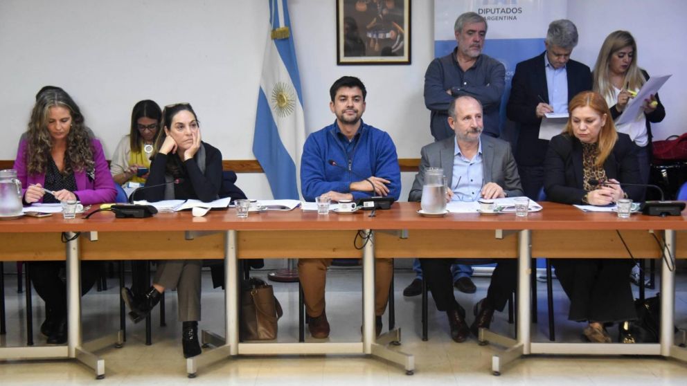 Diputados aprobó el régimen de seguridad del paciente y la regulación del acompañamiento terapéutico.