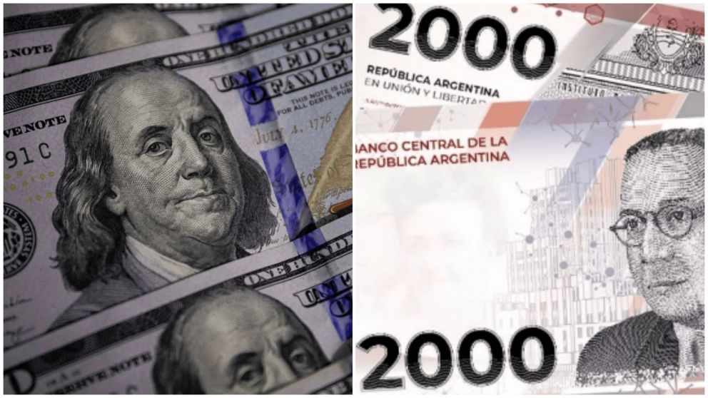 El Plazo fijo y el d�lar son las opciones m�s utilizadas por los argentinos para resguardar sus pesos.