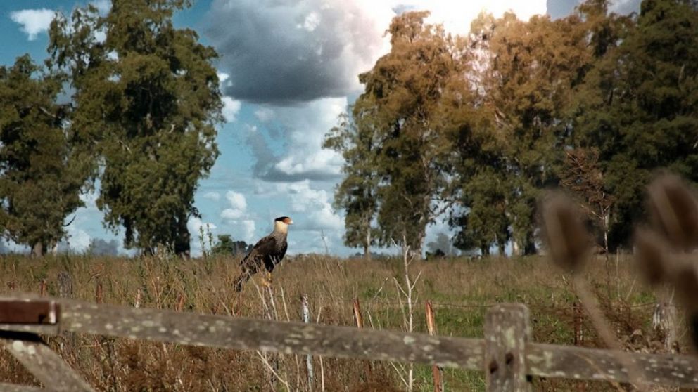Moll, un rinconcito escondido de Buenos Aires donde la tranquilidad y naturaleza enamora.