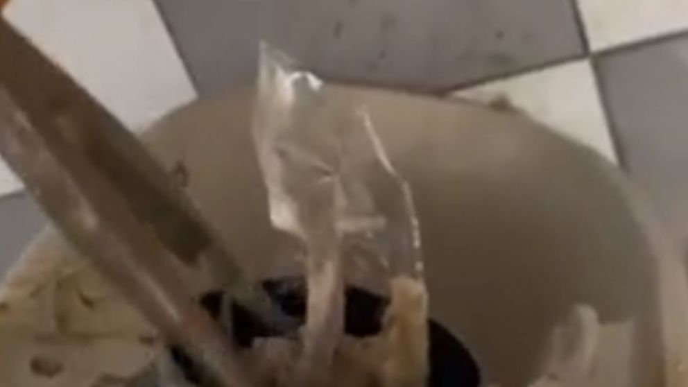 Los plomeros no pudieron creer lo que sacaron del inodoro (TikTok).