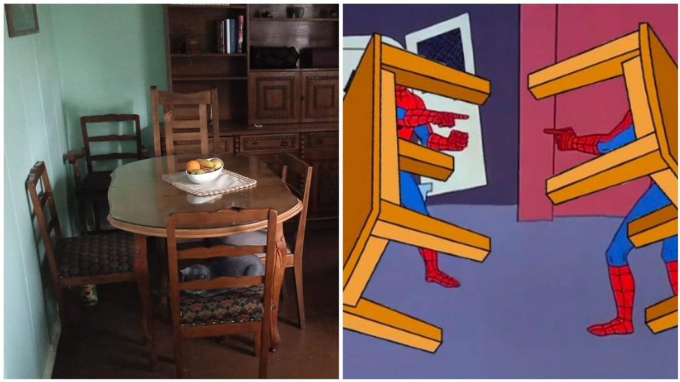 Estallaron los memes por la joven que cont� detalles sobre la mudanza de sus t�as.