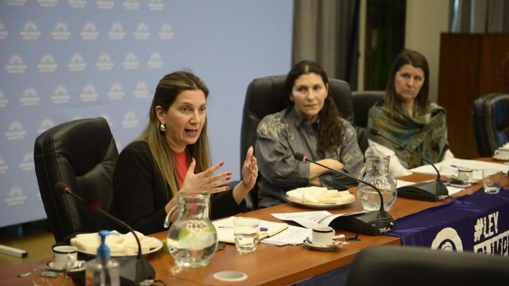 La Comisión de Mujeres y Diversidad, que preside la diputada Mónica Macha (Twitter).
