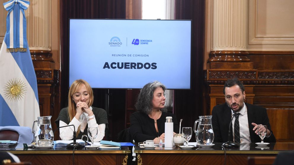 Fuerte debate en comisión en el Senado.