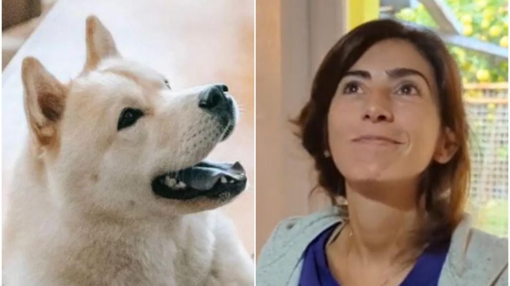 A los animales se les terminan asignando nombres similares sin darse cuenta.