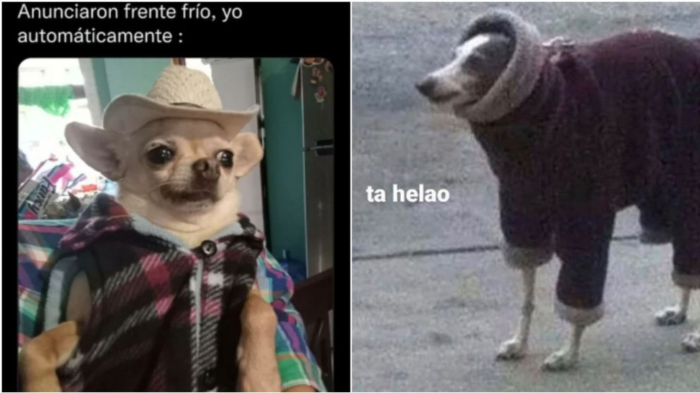 �No te pierdas los mejores memes del fr�o que son furor en las redes!