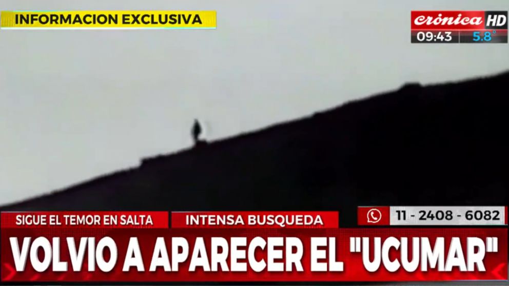 Temor por la aparición del misterioso y bestial espécimen del norte argentino.