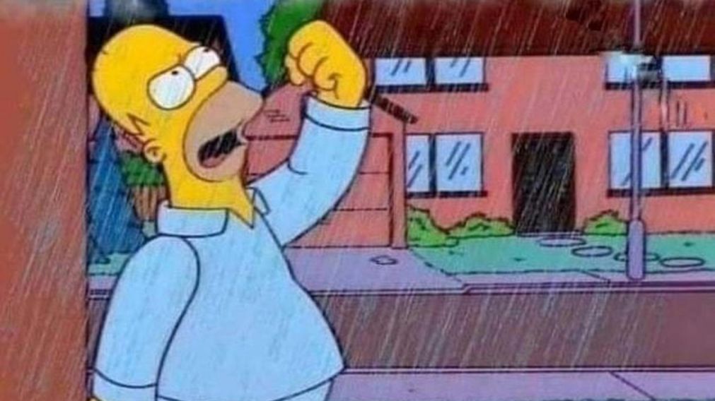 Así las redes sociales "estallaron" de imperdibles memes por el temporal.