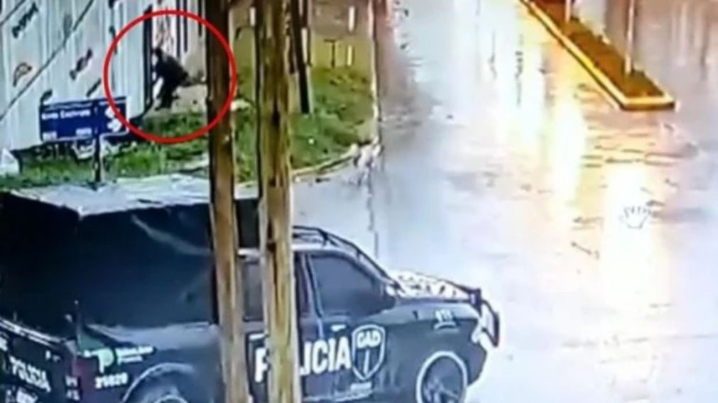 Un delincuente forzó una reja y robó un kiosco a pocos metros de un patrullero estacionado (Imagen captura vídeo).