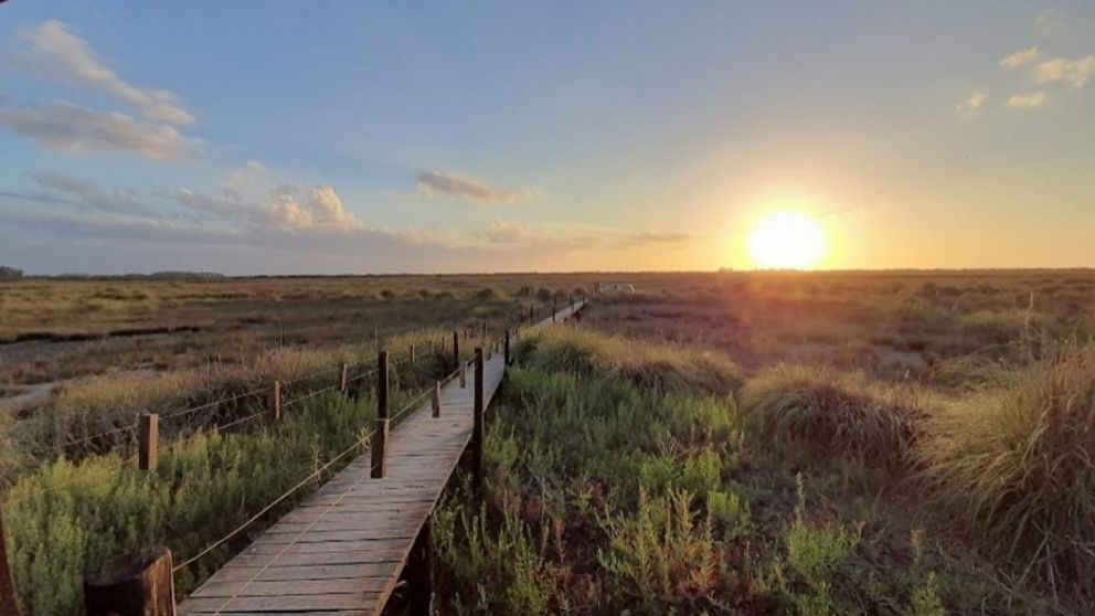 Punta Rasa: un paraíso "escondido" de la provincia de Buenos Aires.