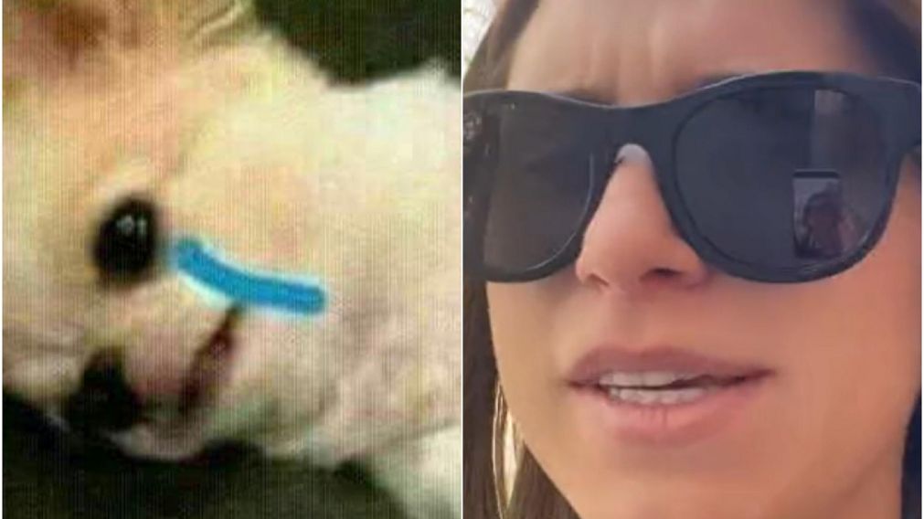Venía como una campeona pero una curiosa pregunta le sacó el ánimo (TikTok / @consunavarro).