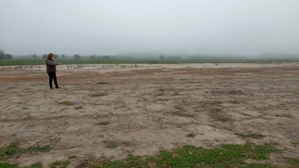 La laguna de San Vicente, descuidada por el municipio.