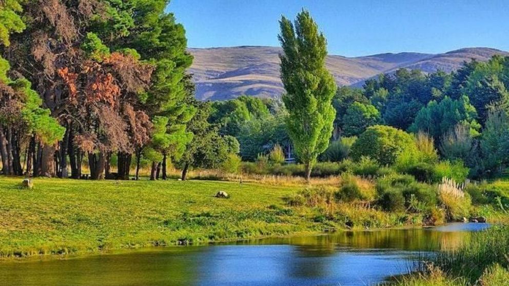 Villa Ventana: el pueblito de las sierras que se destaca por las casas de té.