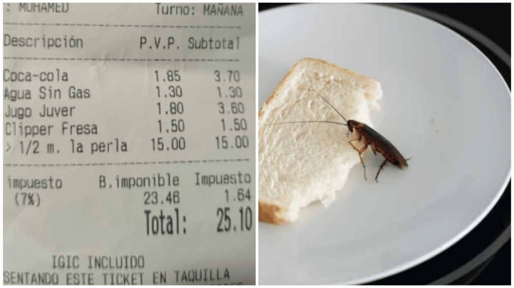 Clienta denunció a un restaurante por un asqueroso y repudiable episodio (Facebook/patricia.padillarodriguez - Freepik).