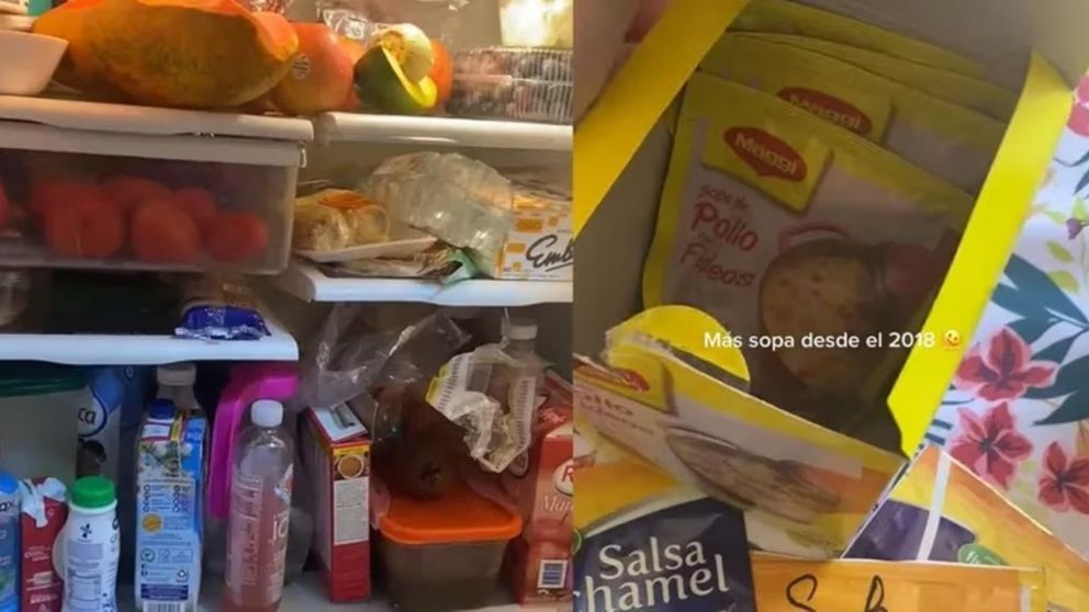Quiso ayudar a sus abuelos ordenando su casa y lo que encontró en la heladera la dejó asqueada (Imagen captura vídeo).