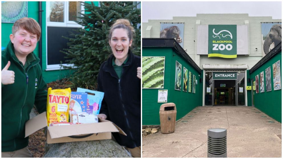 Un zoológico de Reino Unido tiene una oferta de trabajo que es viral (Instagram/@blackpoolzoo).