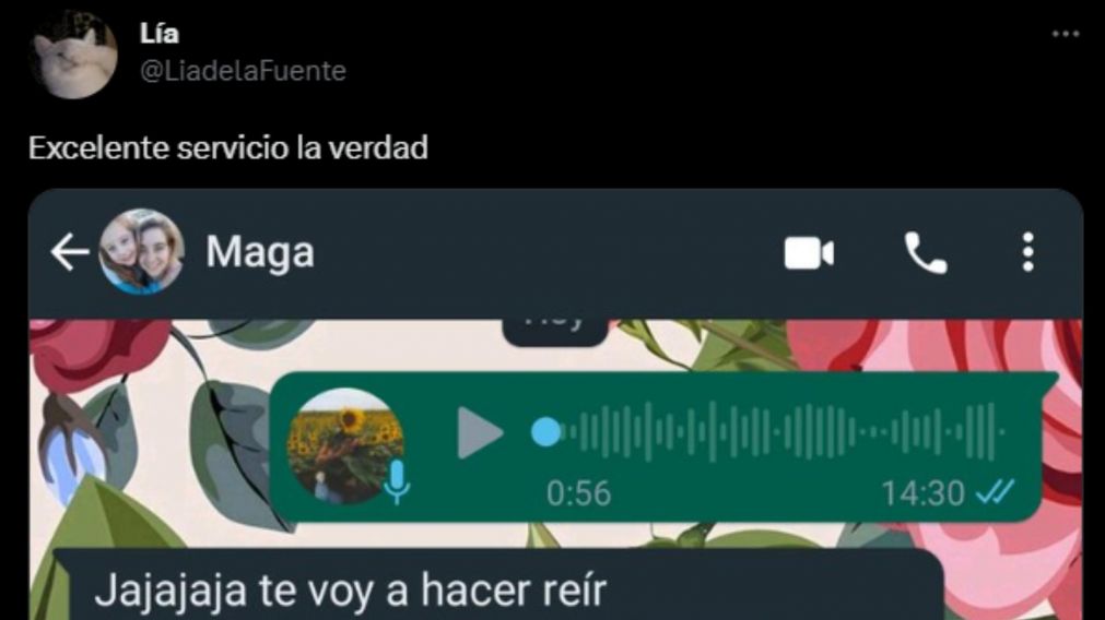 Una joven utilizó un robot para transcribir un audio y se volvió viral en Twitter.