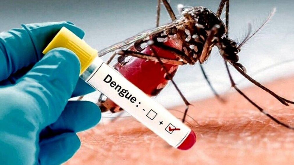 La ANMAT ya aprobó el uso de una vacuna contra el dengue conocida como Qdenga.