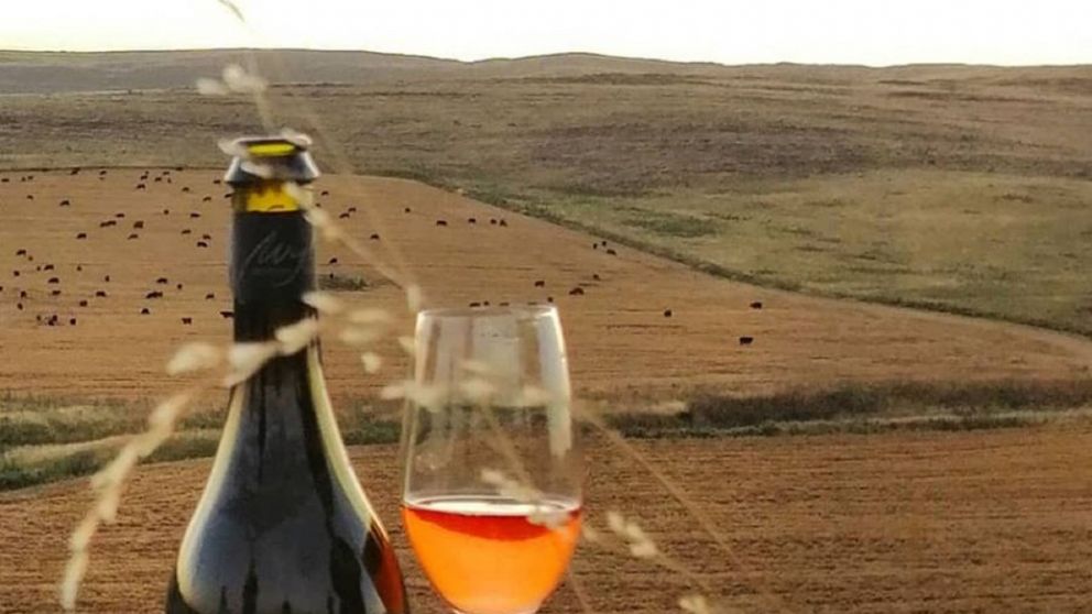 Saldungaray: una perlita de la provincia de Buenos Aires que dio origen a la ruta del vino bonaerense.