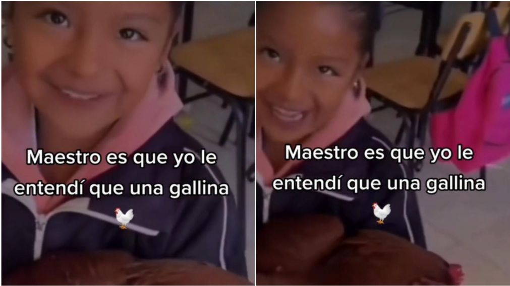 Una nena llevó una gallina al colegio y se volvió viral en TikTok.