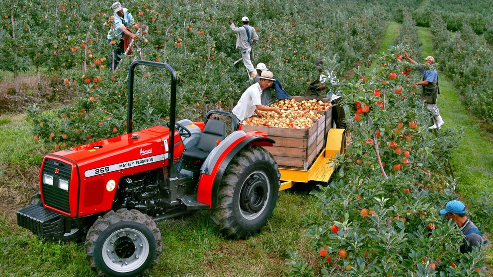 La incorporación al programa será condición para las empresas que quieran recibir los beneficios del "dólar agro".