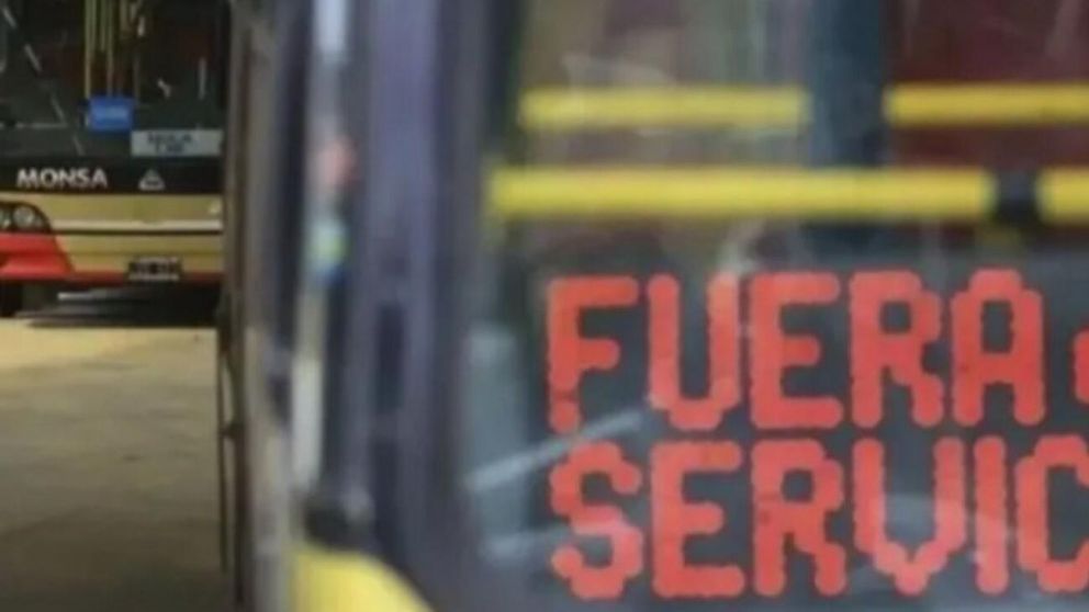 Varias líneas de colectivo entraron en paro: ¿Cuáles son y por qué?