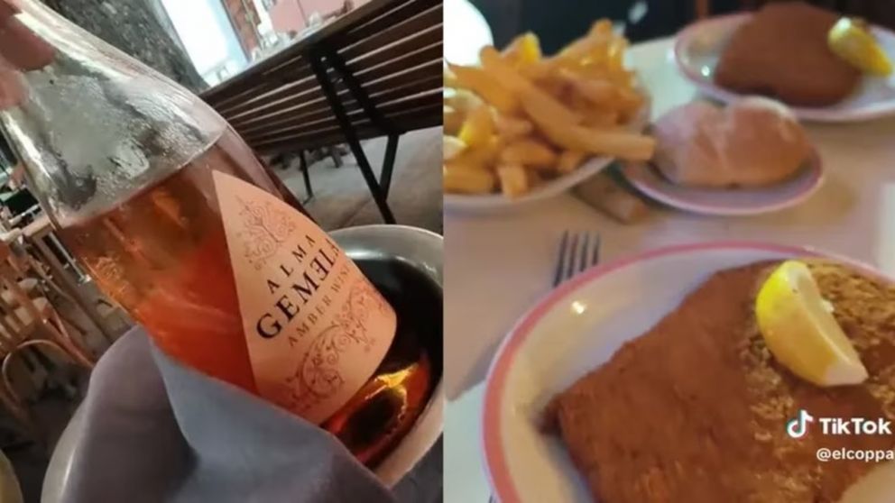 Pidi� dos milanesas en un reconocido restaurante de Palermo y se qued� indignado con el precio (Imagen captura v�deo).
