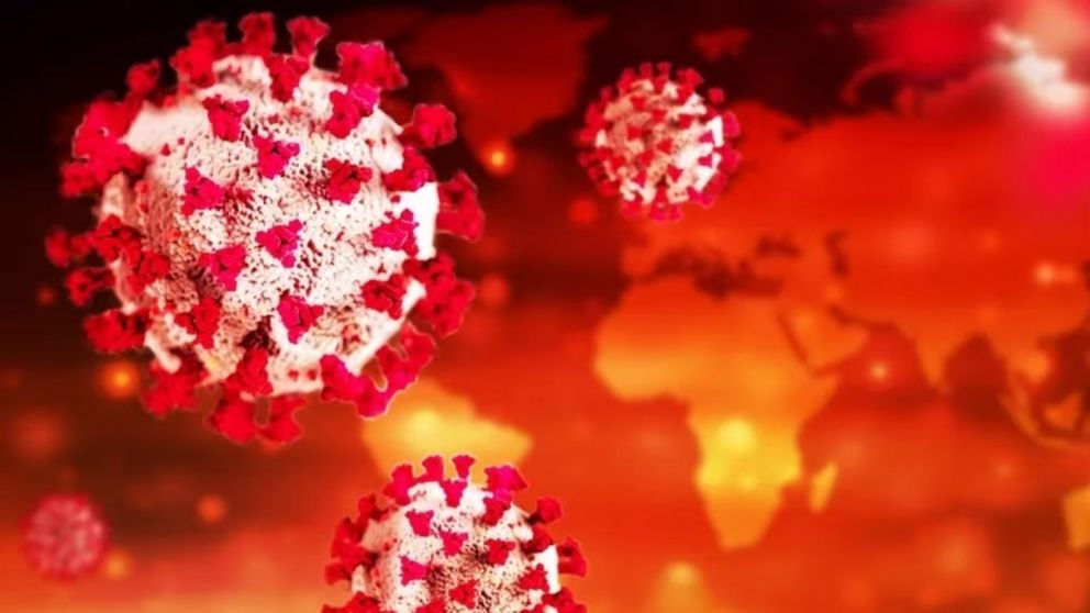 La�subvariante Arcturus�fue detectada por primera vez a finales de enero (Imagen ilustrativa).