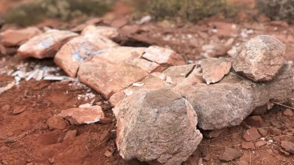 El enorme fémur encontrado en la provincia de Neuquén (Gentileza LMNeuquén).